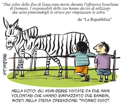 zebre-asini-uomini-pic